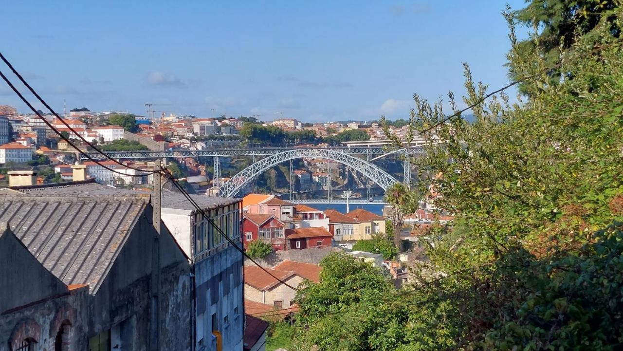 Vitoria Douro 2 Villa Vila Nova de Gaia Kültér fotó